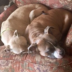 Meet your Posher, Tom